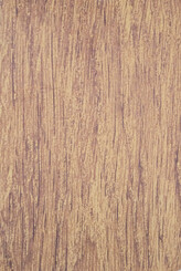 WEATHERED BROOM