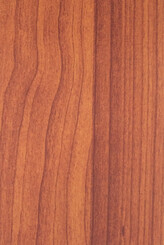 AUSTRALIAN CEDAR