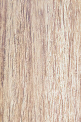 WHITE BROOM