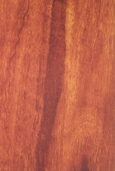 SPOTTED GUM