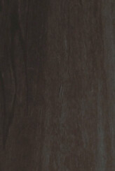 BLACK GUM