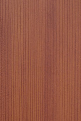 KAURI