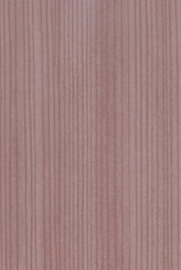 NATURAL KAURI