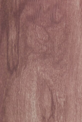 WHITE GUM
