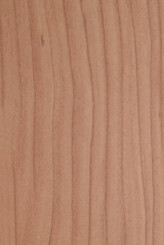 WHITE CEDAR