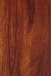DARK GUM